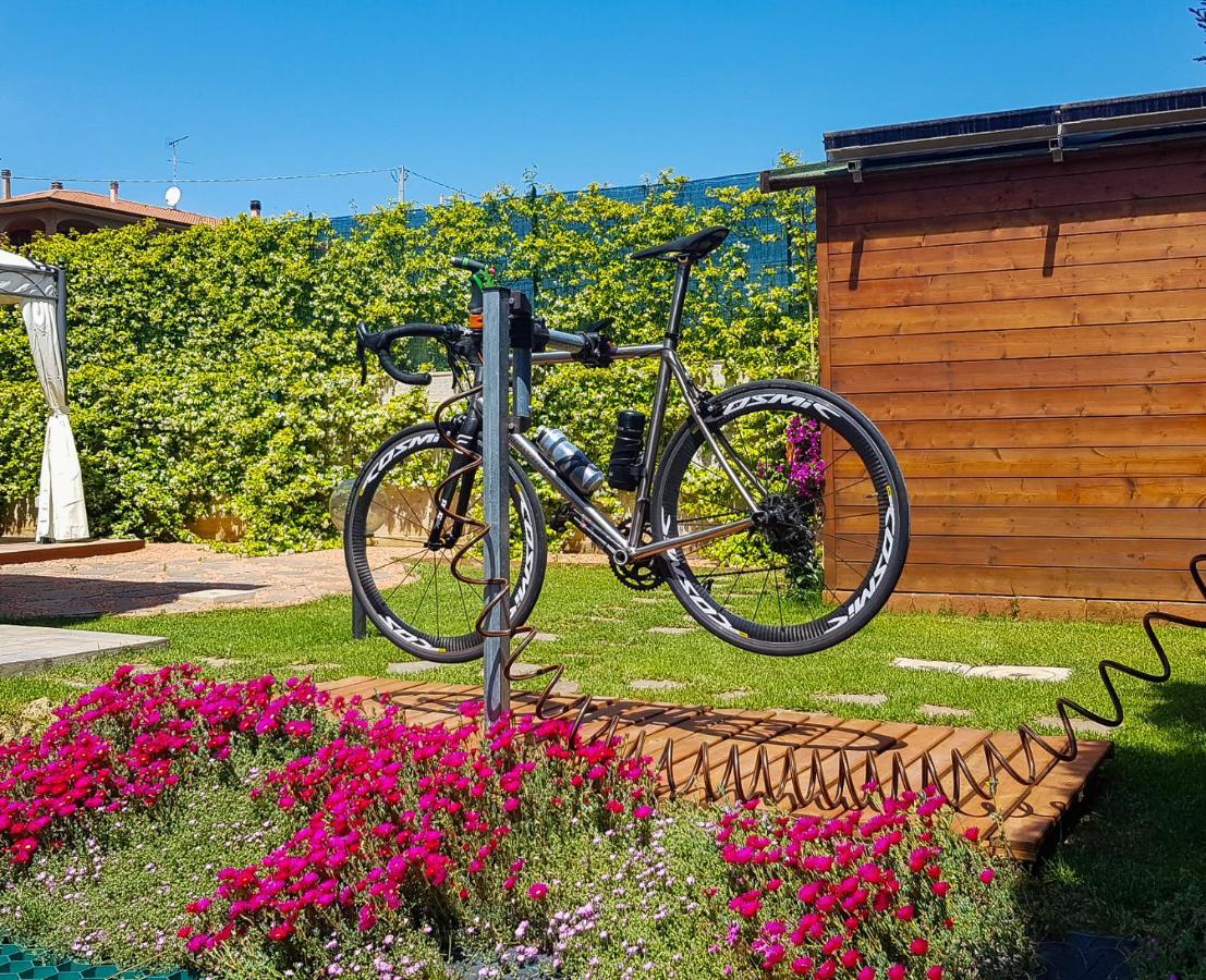 La Mimosa - Bike Friendly Home Rosignano Solvay Exterior photo